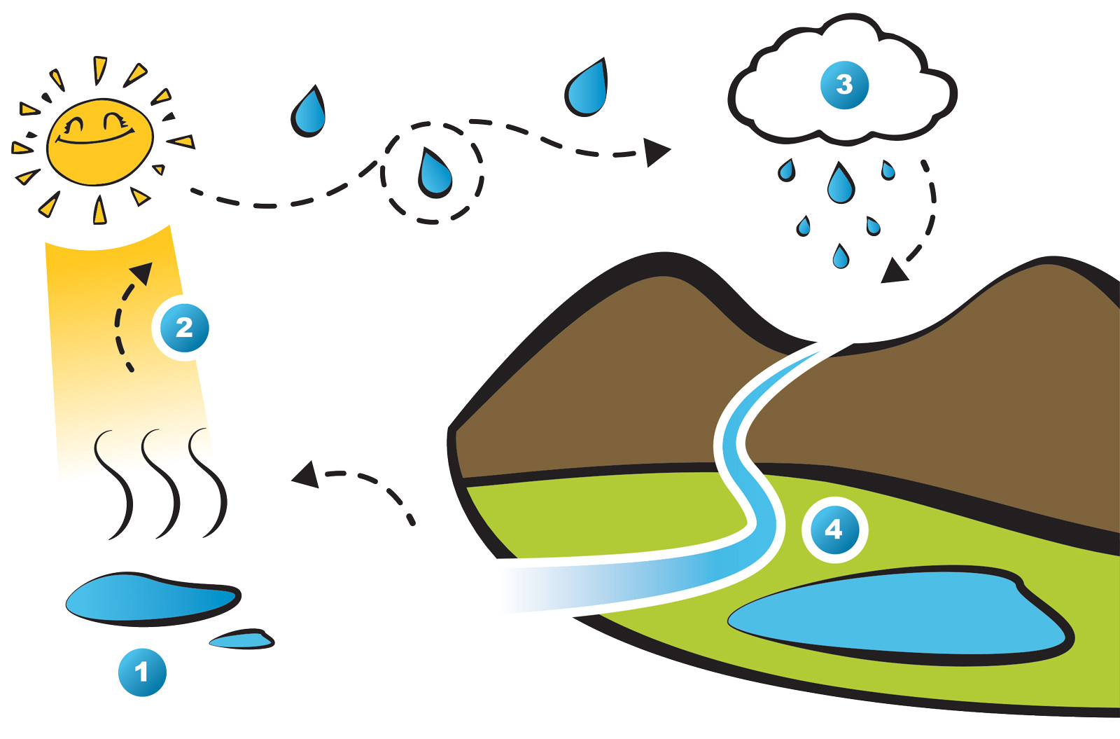 The Water Cycle Portsmouth Water Education